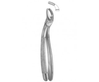 Extracting Forceps English pattern